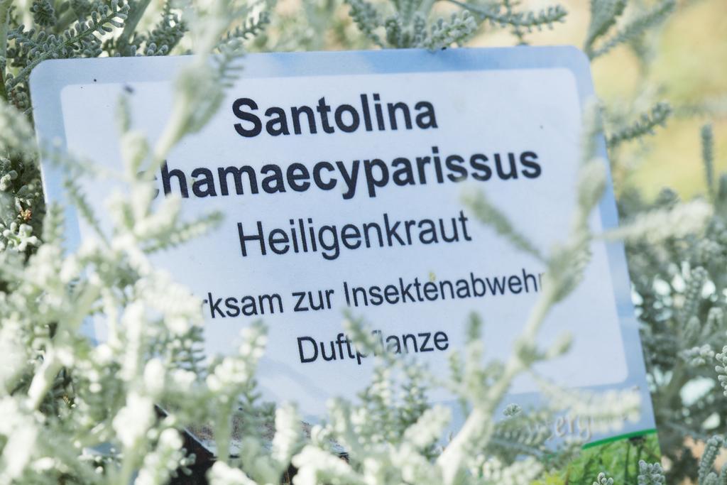 Kraeuterpension Rosenkranz Rangersdorf Exteriör bild